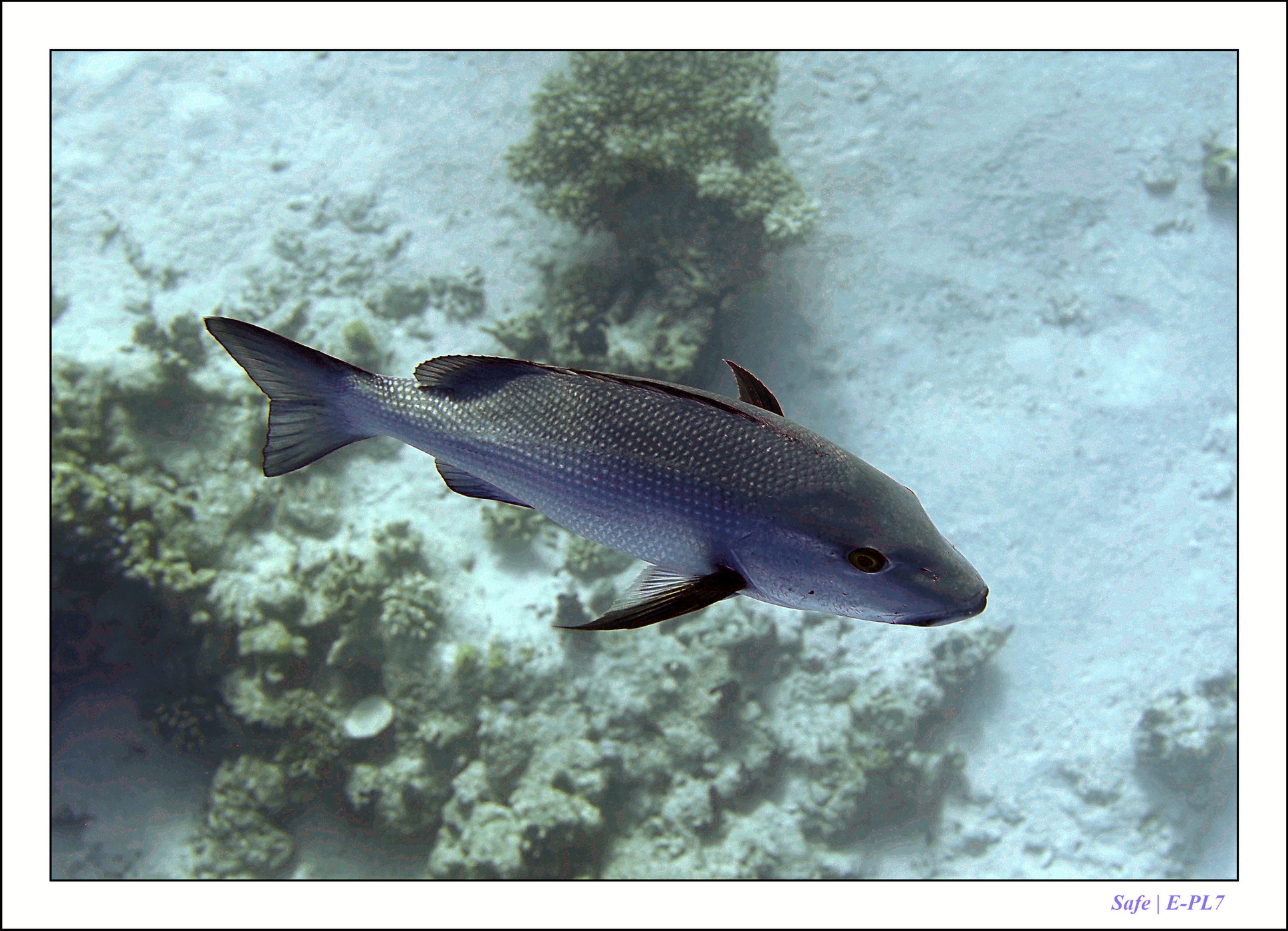 2023 - 03 - Charm El Sheikh - 56